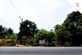 ขายที่ดินเปล่าราชบุรี ดำเนินสะดวก-ราชบุรี (DD002030)