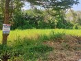 พื้นที่ดิน -  1000000 บาท.   เข้าออกได้หลายทาง ปทุมธานี   