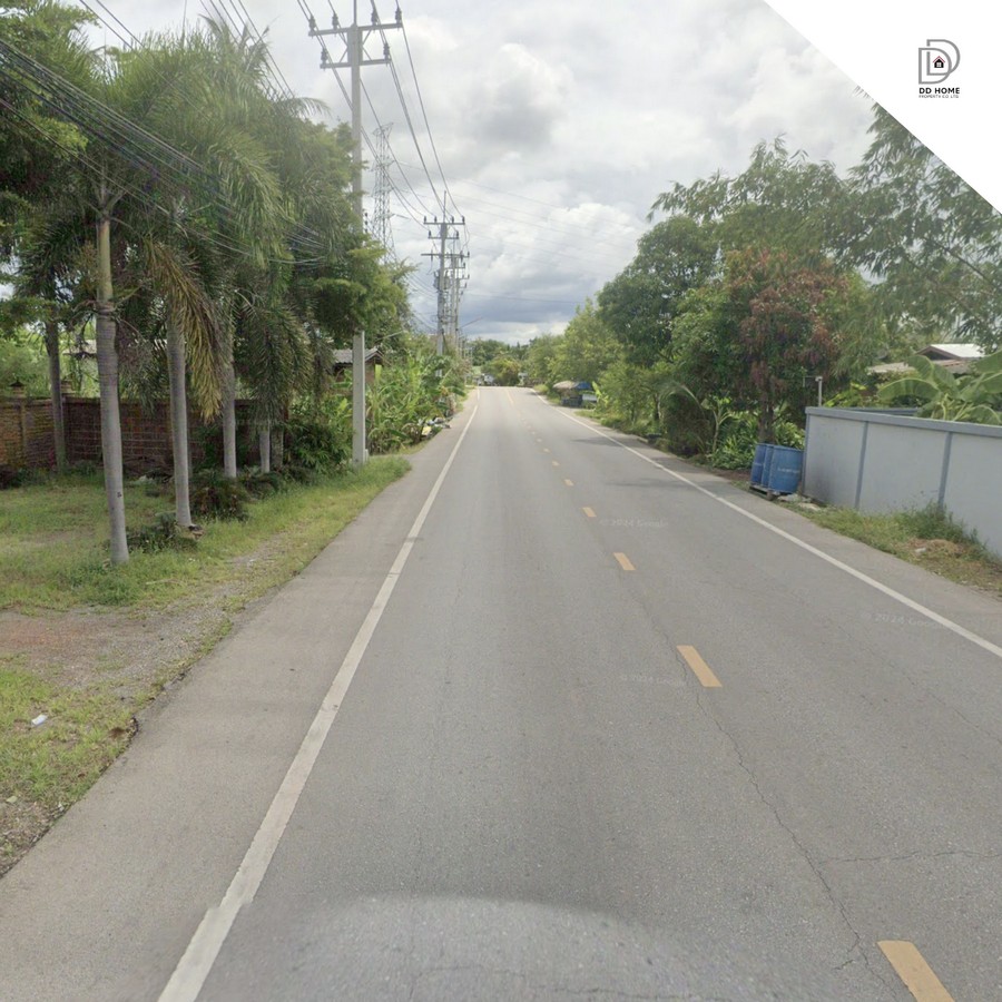 ขายที่ดินเปล่าราชบุรี ดำเนินสะดวก-ราชบุรี (DD002030) รูปที่ 4
