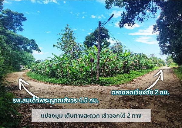 ขายที่ดินวิวเขา แปลงมุม เหมาะปลูกบ้าน ขนาด 384 ตร.ว. อ.เวียงชัย จ.เชียงราย ติดถนนคอนกรีต เดินทางสะดวก #R1C27692 รูปที่ 1