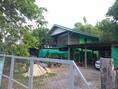 ขายบ้านเดี่ยว2ชั้น ทำเลดี อำเภอหนองแค จังหวัดสระบุรี