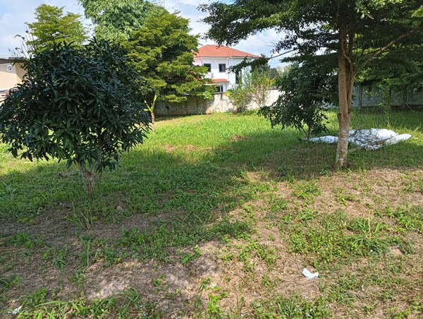 ขายที่ดิน อำเภอเมืองพะเยา 1 ไร่ โฉนด พร้อมโอน โทร 0817830178 รูปที่ 1