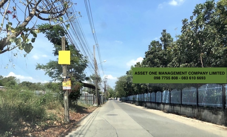 ที่ดิน 1 ไร่ ซอยพระแม่มหาการุณย์  27 ถนนติวานนท์  ปากเกร็ด นนทบุรี 098 7755 808 รูปที่ 5