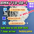 Hot sales CAS 5449-12-7 powder new BMK Glycidic Acid (sodium salt) with high purity