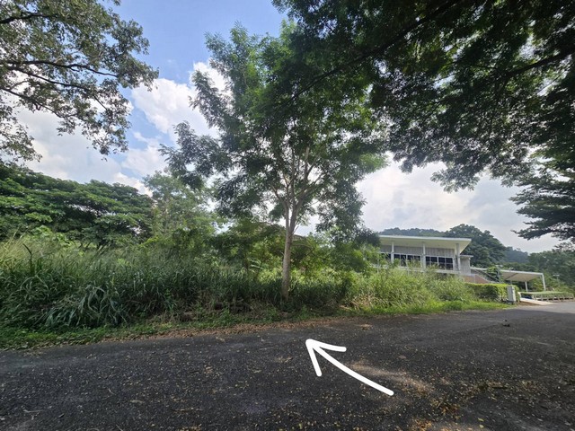 ที่ดิน ภูภัทรา เขาใหญ่  สะดวกต่อการเดินทาง แปลงมุม, ทำเลดี, ติดถนน 2 ด้าน รูปที่ 1
