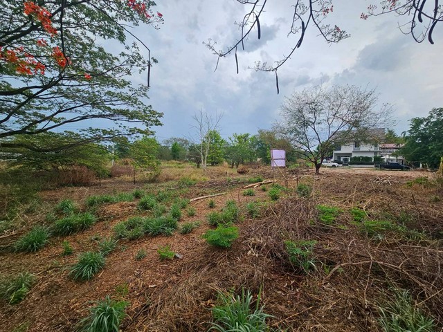 ขายที่ดินสวย 102 ตร.วา  ใกล้มหาวิทยาลัยราชภัฏเลย วิทยาเขตขอนแก่น  เมืองขอนแก่น รูปที่ 1