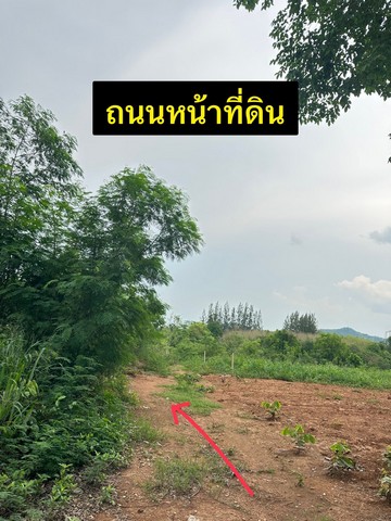 ขายที่ดินเปล่าทำเลดีมาก  เลี้ยวจากถนนหลัก 304 แค่ 200 เมตร ต.ปากช่อง อ.ปากช่อง จ.นครราชสีมา  พื้นที่ : 199.8 ตร.ว. รูปที่ 1