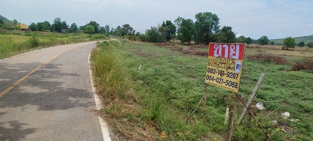 ขายที่ดินผืนใหญ่ใกล้ชุมชน 44-0-25 ไร่ ติดโรงพยาบาลวังทอง   พิษณุโลก รูปที่ 1