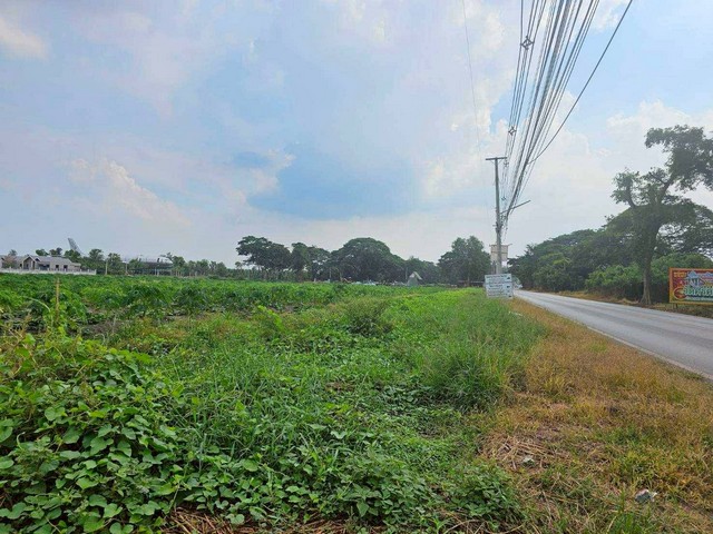 ขายที่เปล่าติดถนนหลักห้า..อำเภอดำเนินสะดวกราชบุรี ใกล้ที่ท่องเที่ยวราชบุรี ต.ศรีสุราษฎร์ อ.ดำเนินสะดวกจ.ราชบุรี  รูปที่ 1