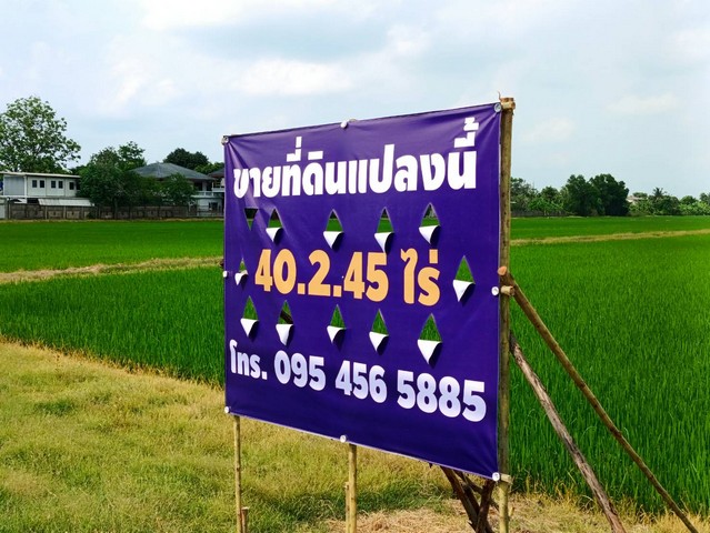 ขายที่ดิน 40.2.45 ไร่ คลอง7 ต.รังสิตเหนือ อ.ธัญบุรี จ.ปทุมธานี   รูปที่ 1
