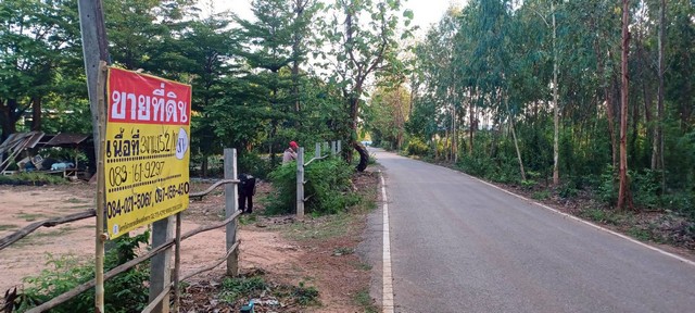 ขายที่ดิน พร้อมสิ่งปลูกสร้าง 305 วา หลังโรงเรียนดินทอง  บ้านดินทอง วังทอง  พิษณุโลก รูปที่ 1