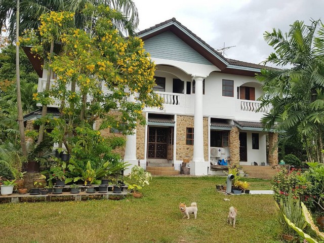 หมู่บ้านปรางทองภูเก็ต บ้านเดี่ยวสภาพเดิม 240วา 6ห้องนอน 7ห้องน้ำ ใกล้โรงพยาบาลดีบุก รูปที่ 1