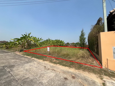 ที่ดินเปล่าถมแล้ว 65 ตร.ว. ในหมู่บ้านชัยพฤกษ์ 1 ซอยคุ้มเกล้า 7 ถนนคุ้มเกล้า  ตำบลลำปลาทิว  อำเภอลาดกระบัง  จังหวัดกรุงเทพมหานคร   รูปที่ 1