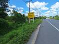 ขาย ที่ดินถมแล้ว ติดถนนใหญ่ 2 ด้าน บนสายเศรษฐกิจ จะนะ–นาทวี 