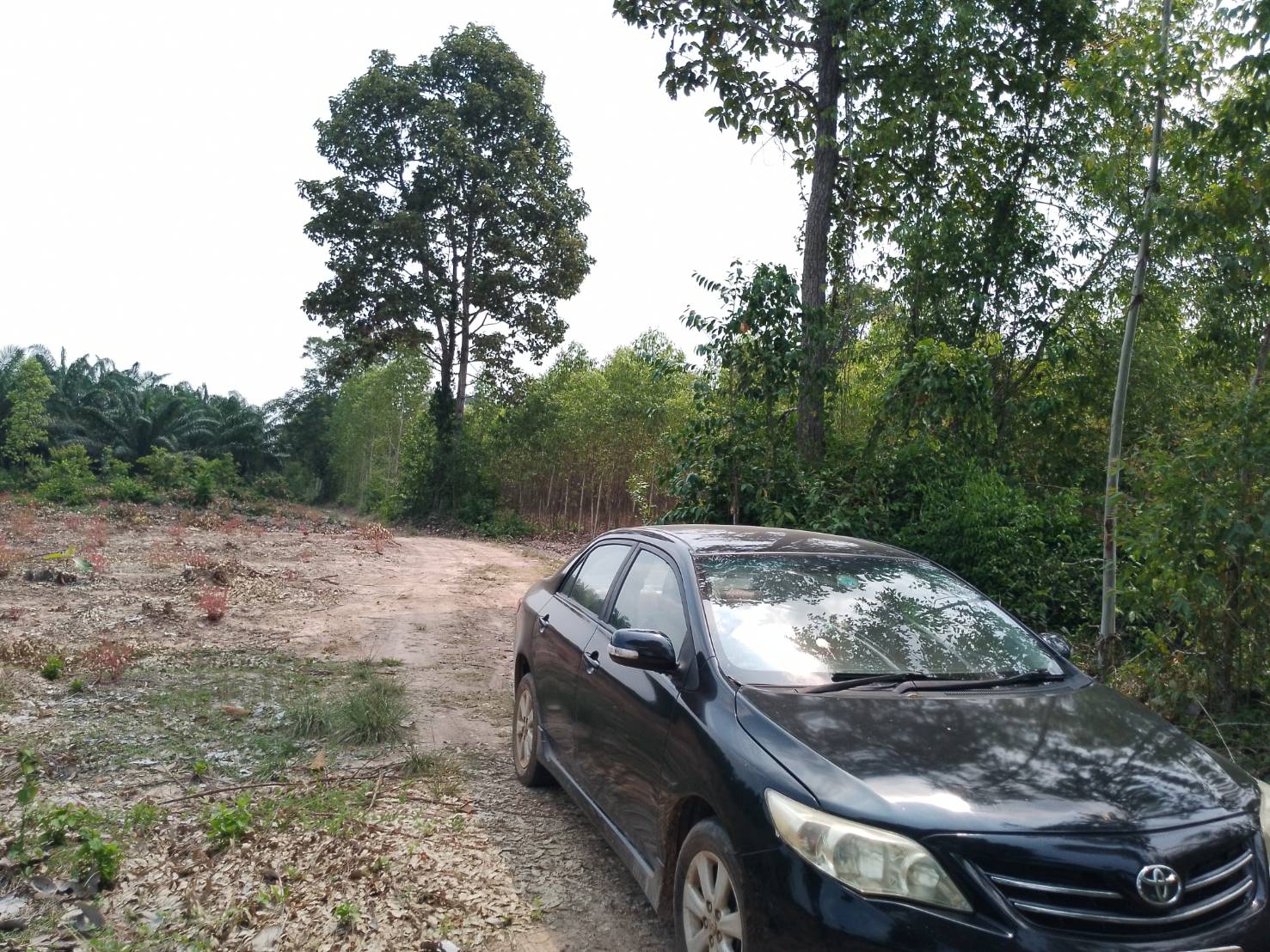 ขายที่ดินอำเภอเมืองสระแก้ว โฉนดครุฑแดง โทร0819103745 ราคาถูก  รูปที่ 4