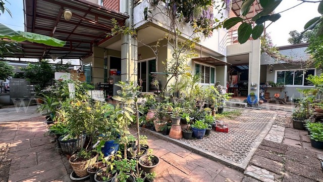 P1 บ้านเดี่ยว หมู่บ้าน โชคประชา เฟส 2 หลังมุม แปลงใหญ่ สภาพดี  รูปที่ 1