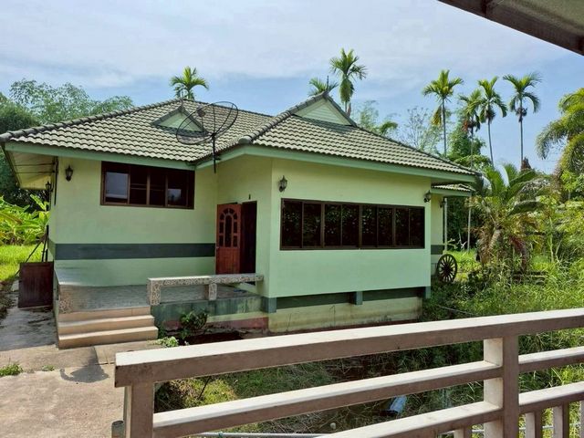 ขาย 15 ล้าน 12-3-24 ตรว. รีสอร์ท และบ้านพัก #เมืองเลน #สันทราย บรรยากาศดี เงียบสงบ สิ่งแวดล้อมเป็นธรรมชาติ เดินทางสะดวก เข้า-ออกง่าย รูปที่ 1