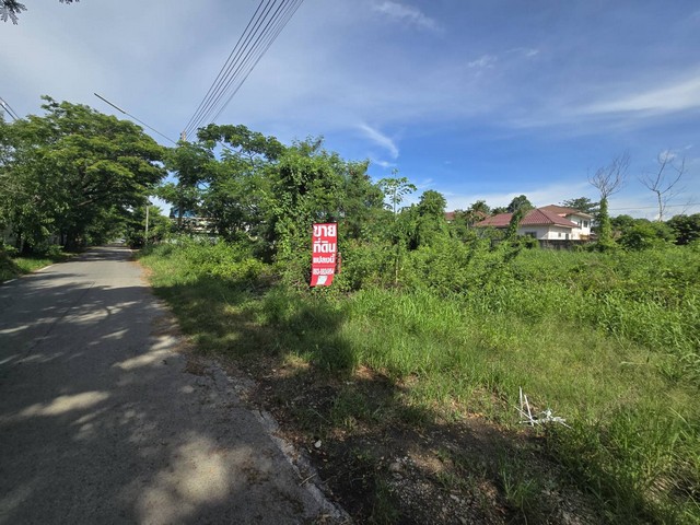 ขายที่ดินถมแล้ว 208.4 ตร.ว คลองสาม (ใกล้วัดธรรมกาย) กว้าง 26 ม. ลึก 30 ม. เหมาะสร้างบ้าน รูปที่ 1