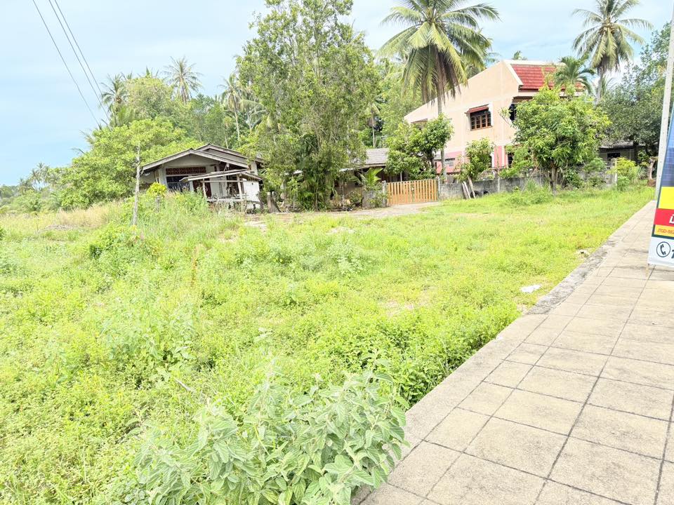 ขาย:ที่ดิน สวย ทำเลทอง โอกาสดี ทำเลทอง ที่ดินติดถนนใหญ่ รูปที่ 1