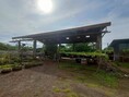 ขายโกดังสำนักงานสามพรานนครปฐม  5 ไร่ 3 งาน 36 ตร.วา  พื้นที่สีเหลือง  มีใบรง. 4 