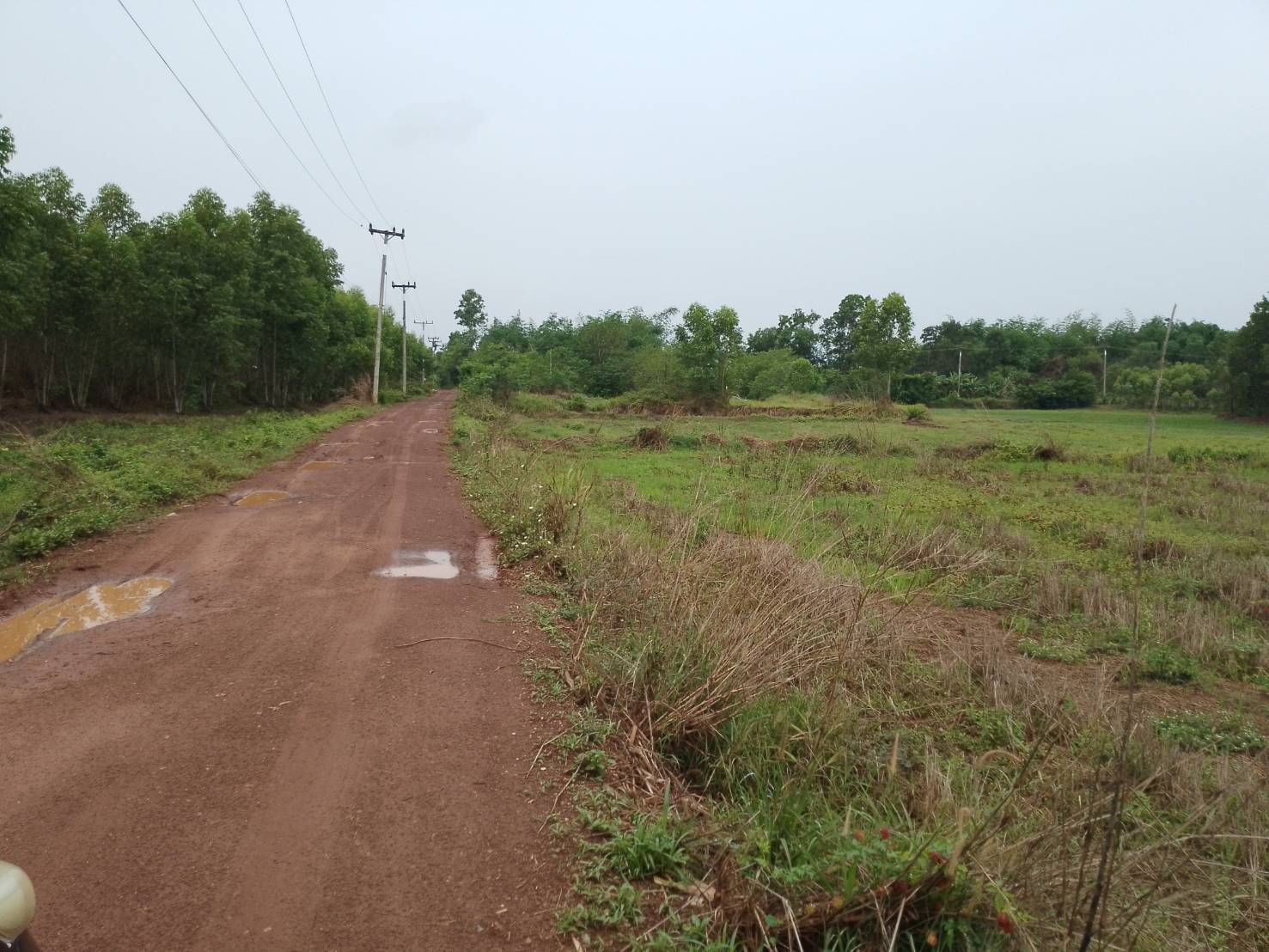 ที่ดินโฉนดครุฑแดงจำนวน22ไร่ราคาไร่ล่ะ120000บาท อำเภอเมืองสระแก้ว รูปที่ 5