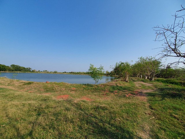 ขายที่ดินข้างศูนย์ราชการใหม่ของนครปฐม เหมาะทำโครงการบ้านจัดสรร ห้องเช่า/โรงแรม/โรงพยาบาล รูปที่ 1