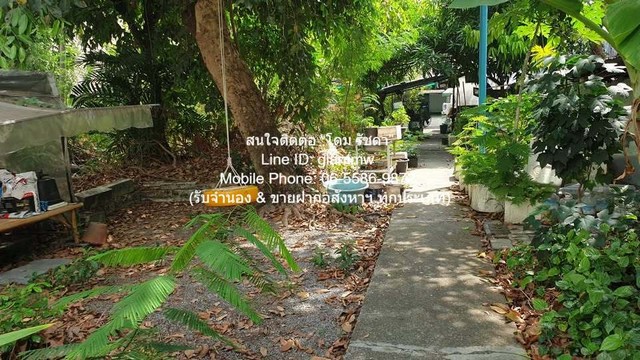 รหัส:  DSL-671 Sale พื้นที่ดิน ขายที่ดินบ้านสวนแปลงใหญ่ ใจกลางเมือง เนื้อที่ 493 ตร.ว. (ใกล้ MRT พระราม 9) 120 ล้านบาท  120000000 thb   สภาพแวดล้อม-ดี รูปที่ 1