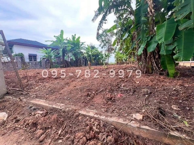 ขายที่ดิน 2.6 ลบ. ถมแล้ว แปลงมุม อ.แกลง จ.ระยอง ใกล้ทะเลเพียง 7 นาที โทร 088-636-1662 รูปที่ 1