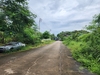 รูปย่อ ขาย ที่ดินเปล่า ถมแล้ว 199 ตร.ว. ถ.คู้คลองสิบ หนองจอก รูปที่5