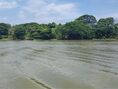 ขายที่ดินเปล่าทำเลทองติดริมแม่น้ำเจ้าพระยา ต.บ้านโพธิ์ อ.บางปะอิน จ.อยุธยา