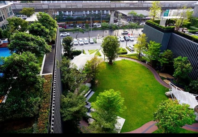 [ขาย] คอนโด Ideo Mobi Sukhumvit 81 | 30.43 ตร.ม. | ชั้น 19 | ใกล้ BTS อ่อนนุช | 3.89 ล้านบาท รูปที่ 1