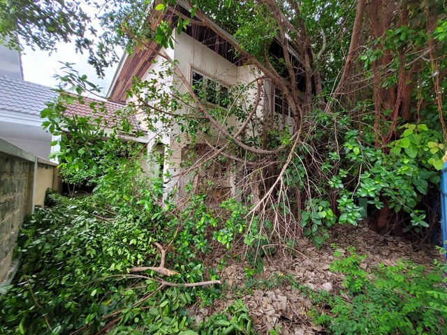 ขาย บ้านเดี่ยว ภัทร ไพรเวท 3 บางบัวทอง บางบัวทอง นนทบุรี  PTT13272 รูปที่ 1