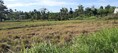 พื้นที่ดิน ที่ดิน ใกล้ม.วลัยลักษณ์ ท่าศาลา 750000 THB  0 Rai 1 Ngan 59 sq.wa ใกล้กับ ห่าง ม.วลัยลักษณ์ จ.นครศรีธรรมราช ประมาณ 1.4 กม. พร้อมตกแต่ง