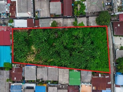 ขายที่ดินเปล่า 520 ตรว ในซอยวุฒากาศ36 ผังเมืองส้ม อยู่ในแหล่งชุมชน ห่างจากปากซอย เพียง 400เมตร เหมาะทำบ้านอยู่อาศัย หรือ อพาร์ทเม้น  รูปที่ 1