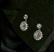 รูปย่อ ต่างหูเพชร ดีไซน์โดดเด่น งานผีมือละเอียดประณีต - ปุอามี่ Diamond Lap Rama2 (083-2469526) รูปที่2