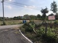 ขายที่ดินราคาถูกสระบุรี ขายที่ดินโฉนดครุฑแดงพร้อมโอนกรรมสิทธิ์ทุกวัน จ-ศ ราคา3แสนบาท 