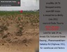 รูปย่อ ขายที่ดิน นิคมอุตสาหกรรมอมตะ ระยอง 24 ไร่ 82 วา ถ.พนมสารคาม-สัตหีบ (ทล.331) เหมาะทำโกดัง โรงงาน รูปที่6
