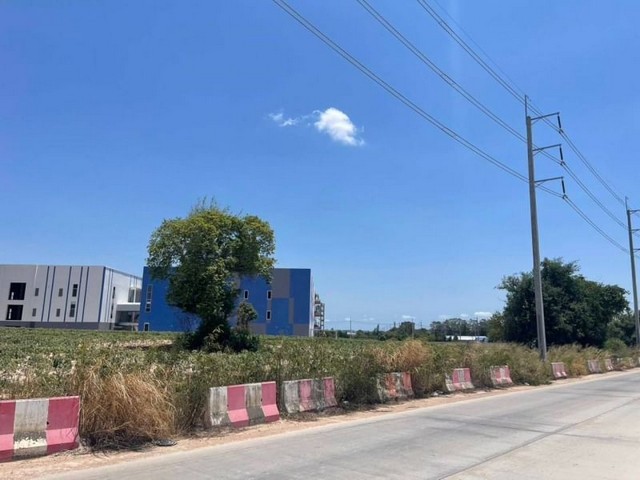 ขายที่ดินอมตะซิตี้ แปลงสวย มาบยางพร ปลวกแดง ระยอง  FP-L0695 รูปที่ 1