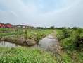 ที่ดินเปล่า ซอยบึงบอน 1 ถนนรังสิต-นครนายก บึงบอนใต้ อ.หนองเสือ จ.ปทุมธานี  