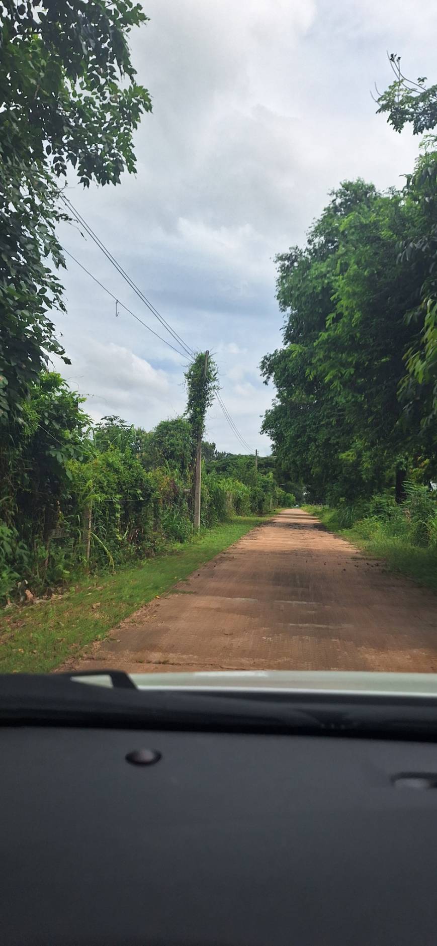 ขายที่ดินหัวมุม ทำเลทอง ติดถนน2ด้าน ด้านหน้าติดถนน4เลน อำเภอป่าติ้ว จังหวัดยโสธร รูปที่ 4