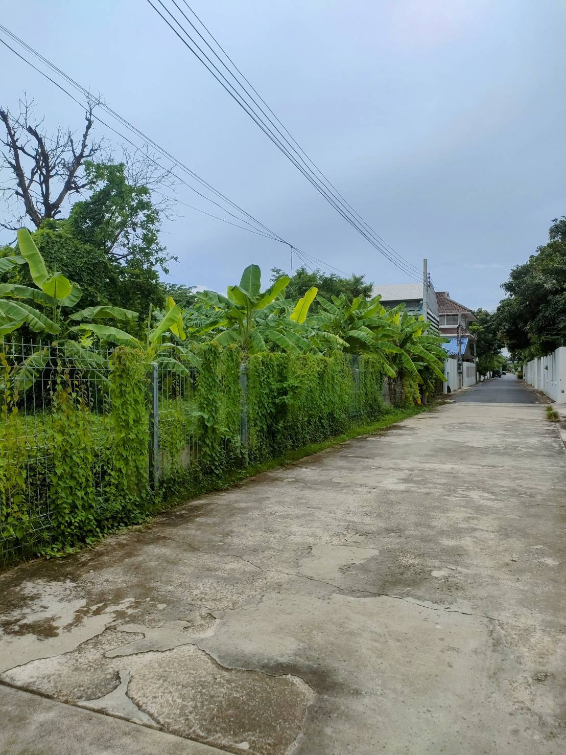 ขายที่ดินเปล่าถมแล้วในถนนลาดพร้าวซอย 48 กรุงเทพมหานคร รูปที่ 4