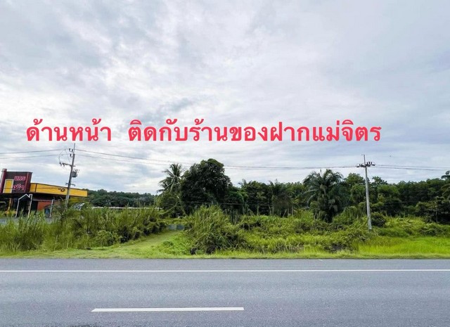 ขายที่ดิน หน้าสนามบินนานาชาติ นครศรีธรรมราช เนื้อที่ 6 ไร่ 2 งาน 40 ตารางวา ไร่ละ 2.3 ล้านบาท รูปที่ 1