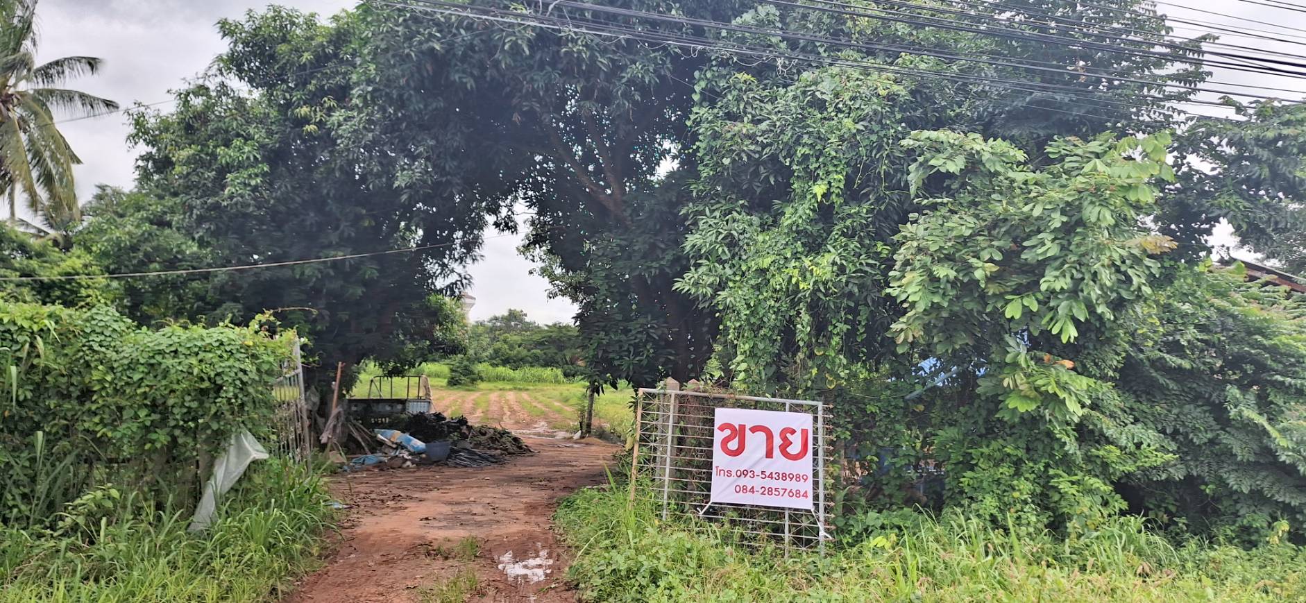 ขายที่ดินหัวมุม ทำเลทอง ติดถนน2ด้าน ด้านหน้าติดถนน4เลน อำเภอป่าติ้ว จังหวัดยโสธร รูปที่ 3