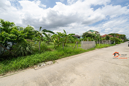 ขาย ที่ดินเปล่า ลาดพร้าว ซอยสุคนธสวัสดิ์ 14 ทำเลดี 200 ตร.ว รูปที่ 1