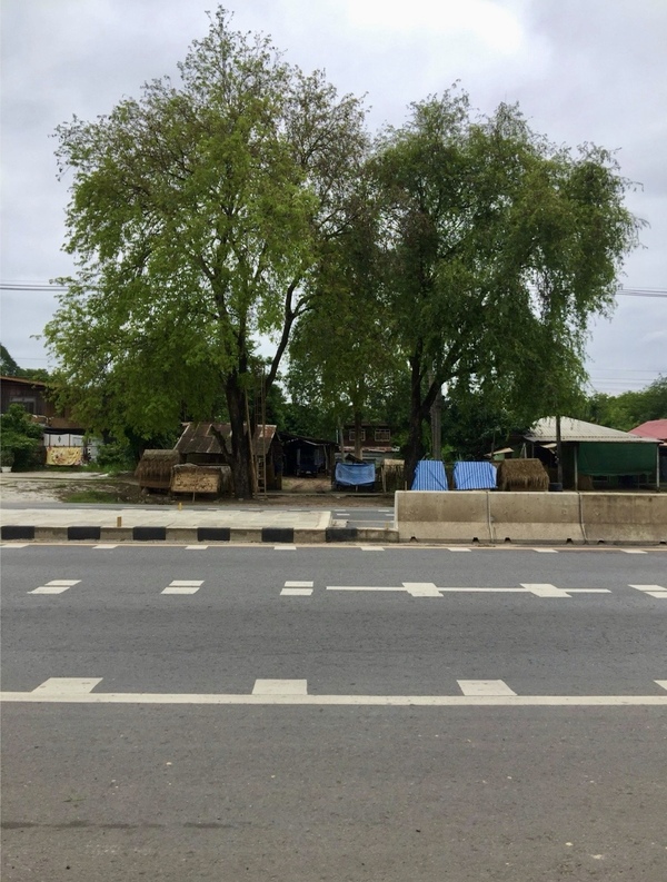 ขายที่ดินเปล่า อ.หนองวัวซอ จ. อุดรธานี เนื้อที่ 1 งาน 98 ตรว.  รูปที่ 1