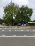 ขายที่ดินเปล่า อ.หนองวัวซอ จ. อุดรธานี เนื้อที่ 1 งาน 98 ตรว. 