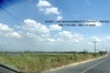 รูปย่อ ขายไร่ละ 1,200,000 บาท ที่ดิน 7 ไร่ ติดถนนอยุธยา อ่างทอง 098 7755 808 รูปที่6