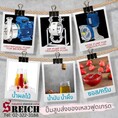 ปั๊มดูดของเหลวหนืด ปั๊มfood grade ปั๊มสแตนเลส stainless pump
