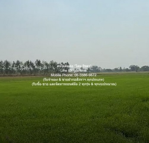 ขายที่ดินทุ่งนาข้าว ต.ระวิง อ.เมืองเพชรบูรณ์ จ.เพชรบูรณ์ 51-2-87 ไร่ ราคา 7.8 ล้านบาท  รูปที่ 1