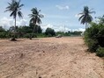 ขายที่ดินโรงโป๊ะ-ตะเคียนเตี้ย ติดถนนคอนกรีต ใจกลางชุมชน  FP-L0731 